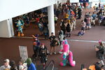 DSC_8770.JPG